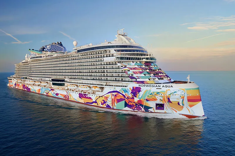 Cruise Experience